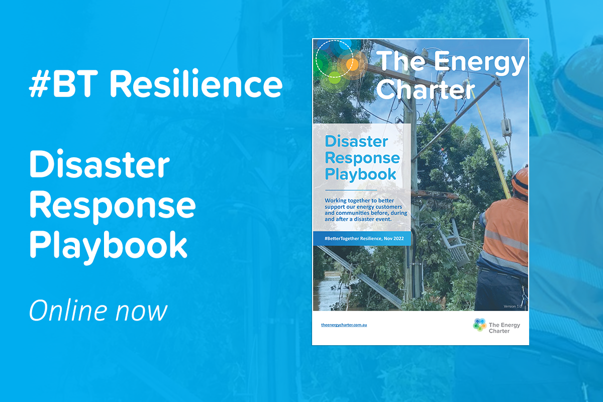 Disaster Resilience Playbook