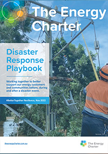Disaster Response Playbook