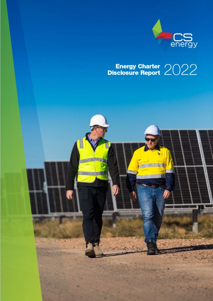CS Energy Disclosure Report