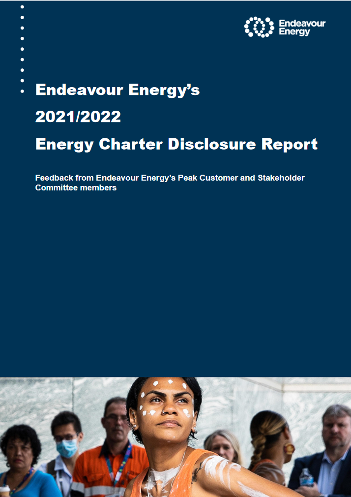 Endeavour Energy Feedback Summary
