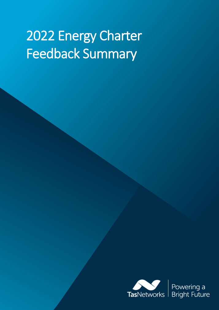 TasNetworks Feedback Summary