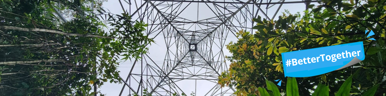 Biodiversity and Renewables