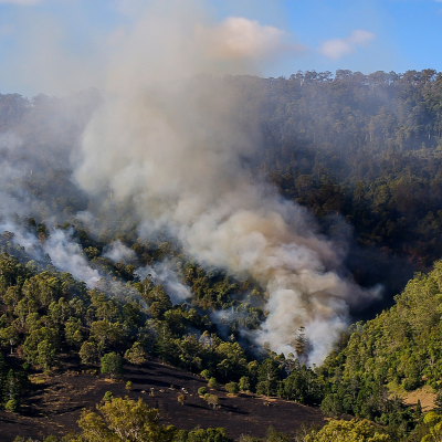 #BetterTogether - Bushfire Response
