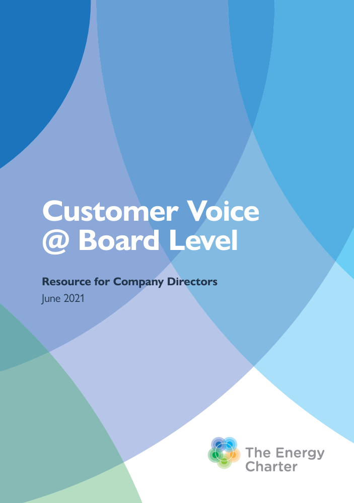 Customer Voice @ Board Level