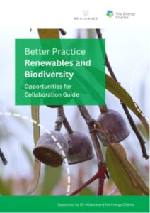 Renewables and Biodiversity Guide thumbnail