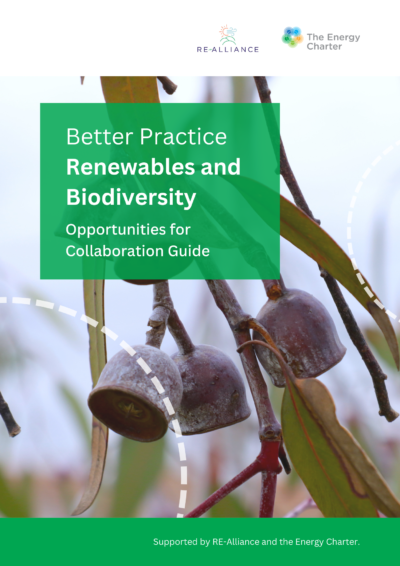 Better Practice Renewables and Biodiversity