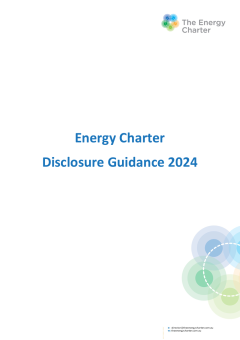 Disclosure Guidance 2024